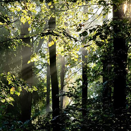 Photo #11812600