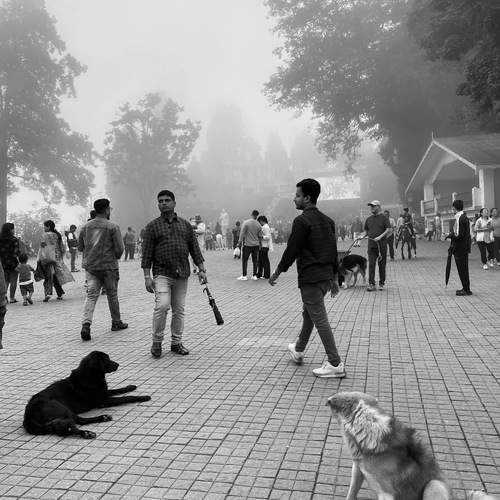 Photo #11812649