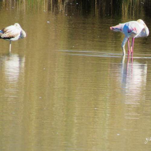 Photo #11812659
