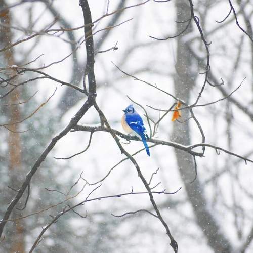 Photo #11812880