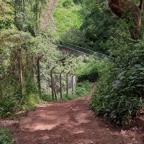Photo #11813071