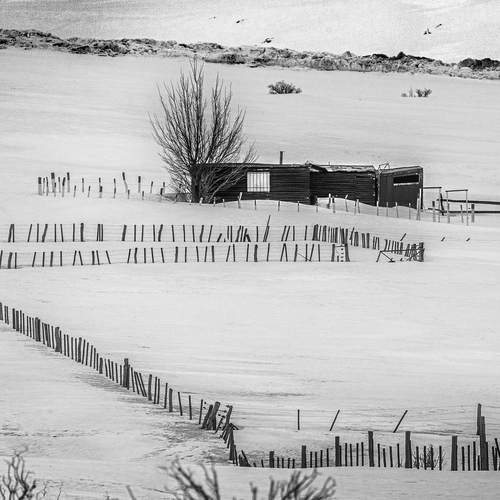 Photo #11813129