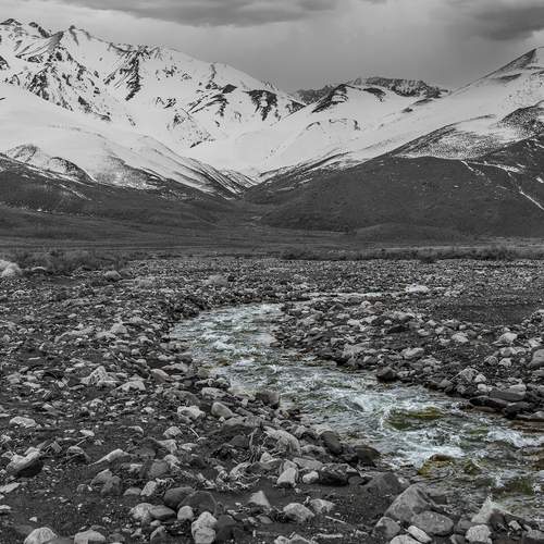 Photo #11813142
