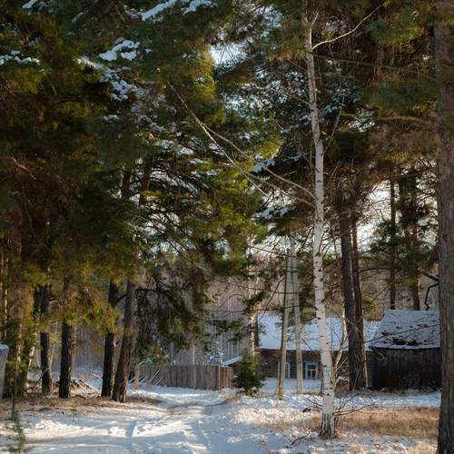 Photo #11813229