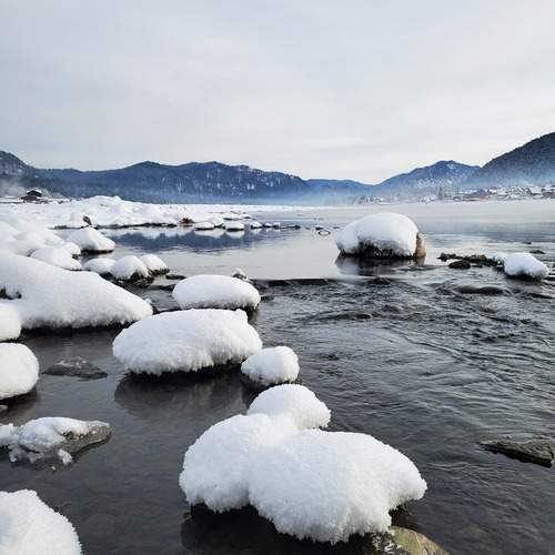 Photo #11813412