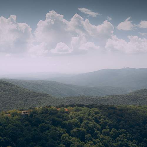 Photo #11813520