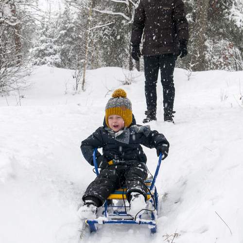 Photo #11813545