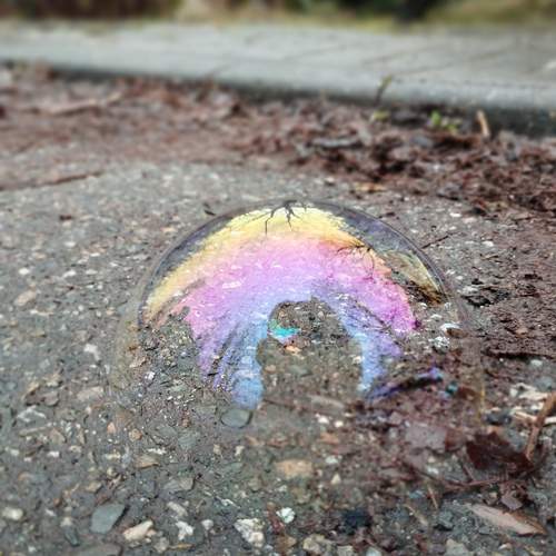 Photo #11813577
