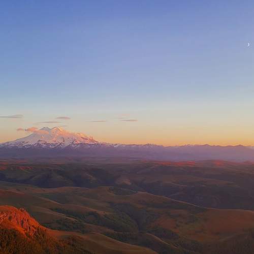 Photo #11813612