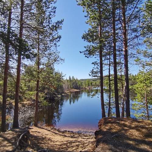 Photo #11813829