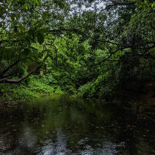 Photo #11813930