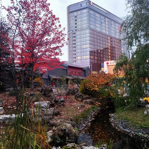 Photo #11813984