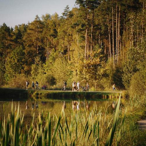 Photo #11814076