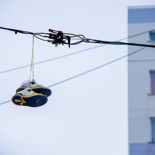 Photo #11814208