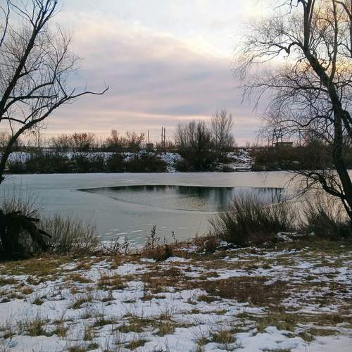 Photo #11814455