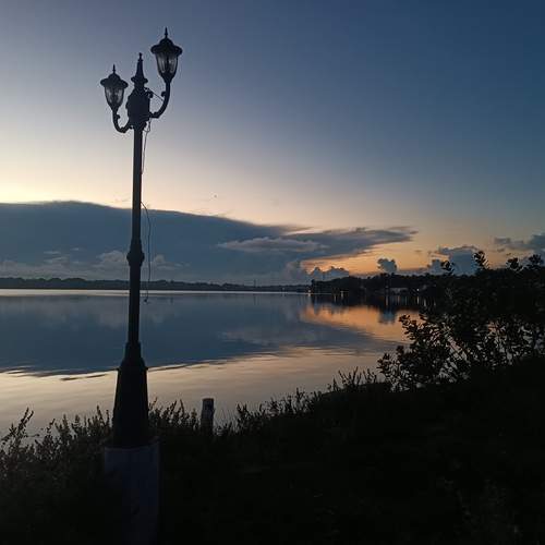 Photo #11814469
