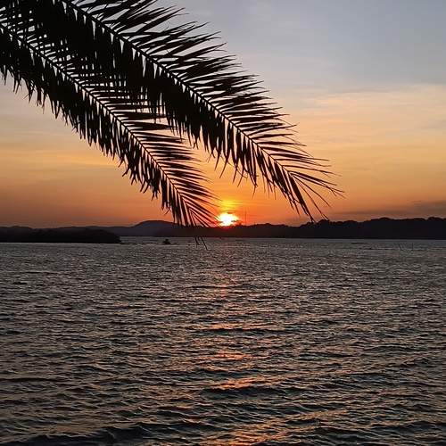Photo #11814486