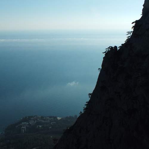 Photo #11814546