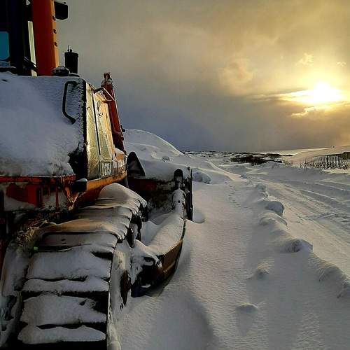 Photo #11814562