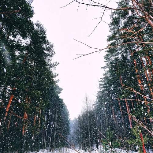 Photo #11814663