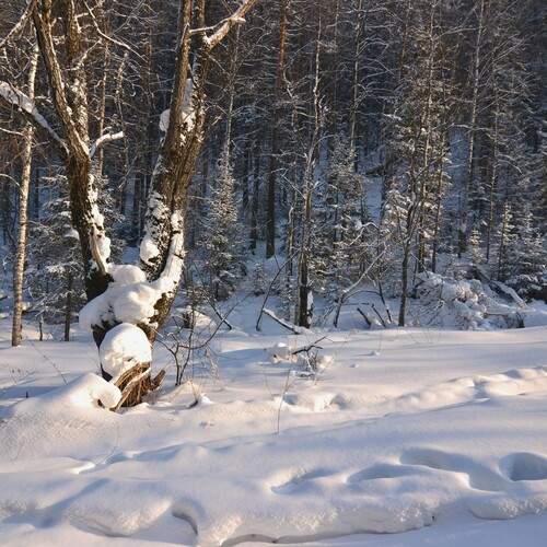 Photo #11814675