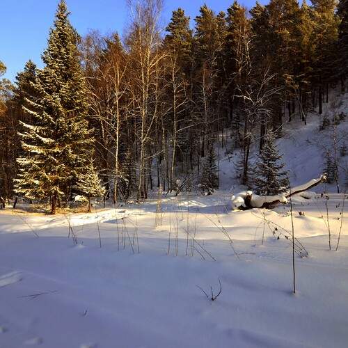 Photo #11814681