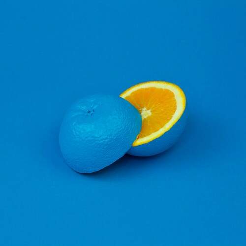 Photo #11814766