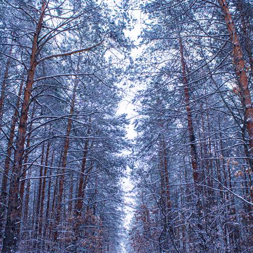 Photo #11814915