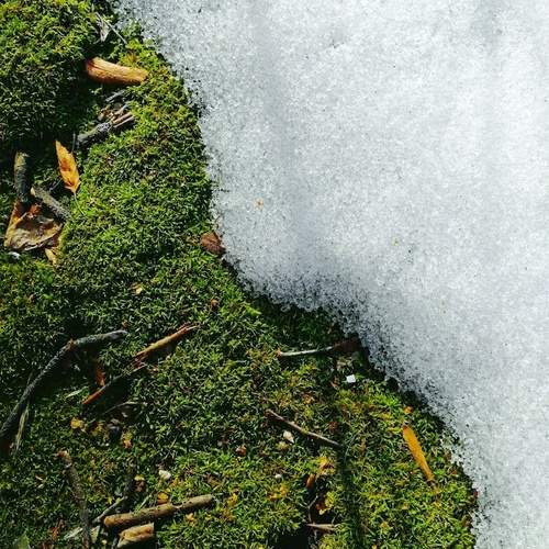 Photo #11815303