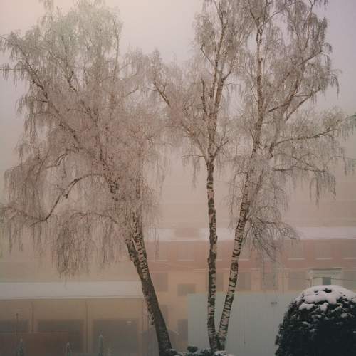Photo #11815540