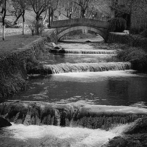 Photo #11815547