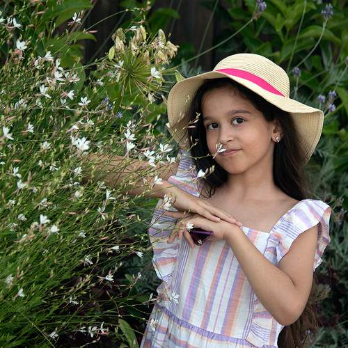 Photo #11815818