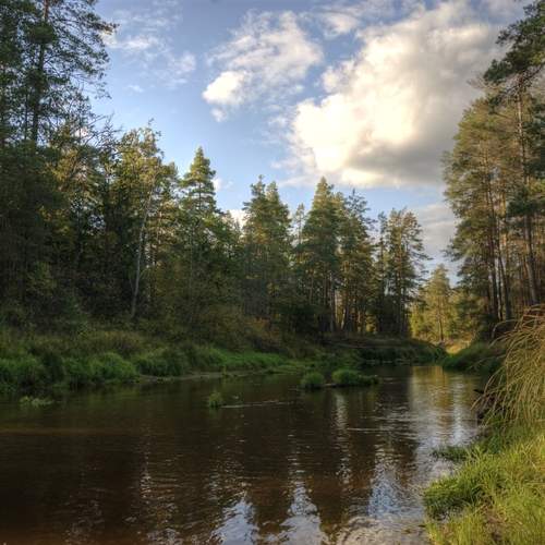 Photo #11816052