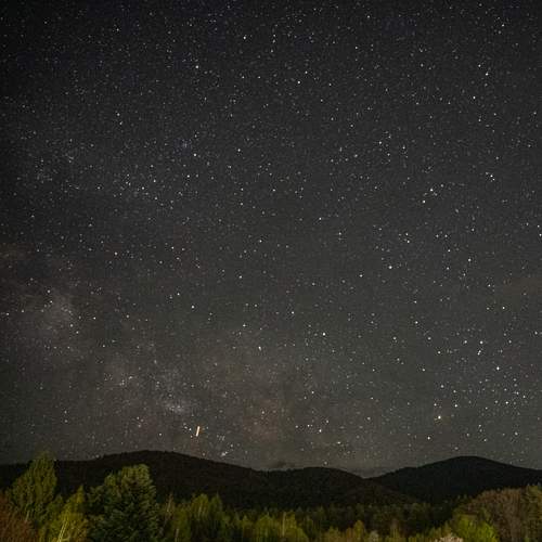 Photo #11816281