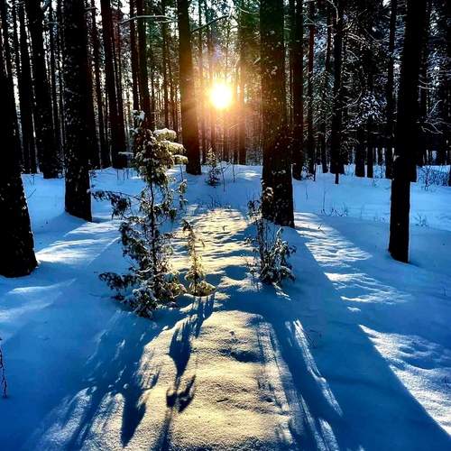 Photo #11816319