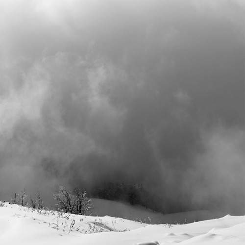 Photo #11816335