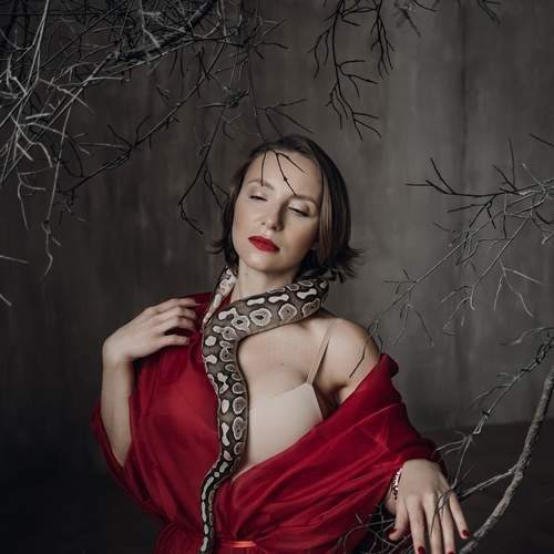 Фотография #11816444