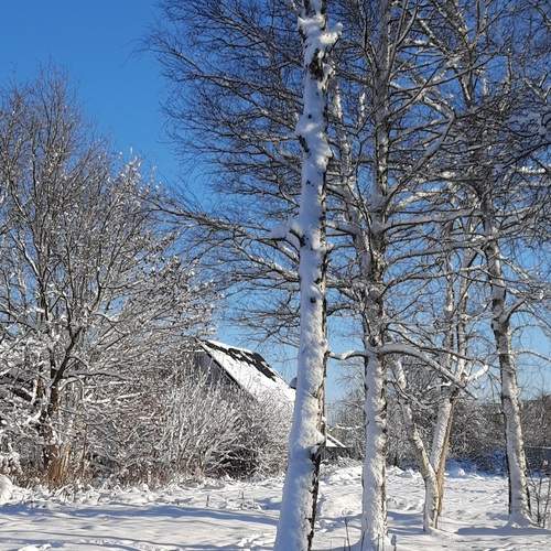 Photo #11816568