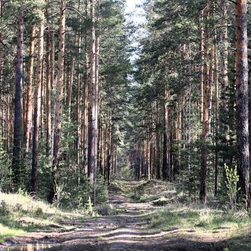 Photo #11816683