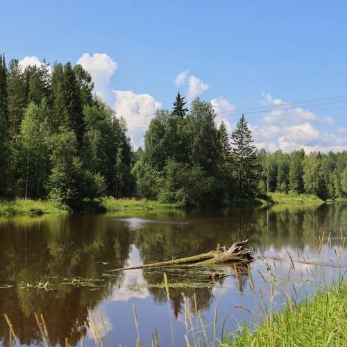Photo #11816720