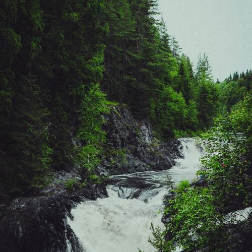 Photo #11817049