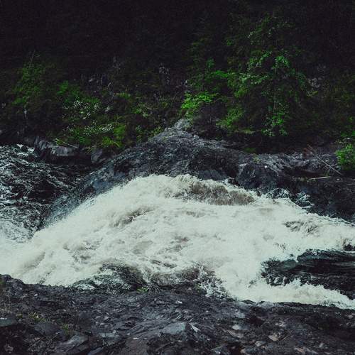 Photo #11817051