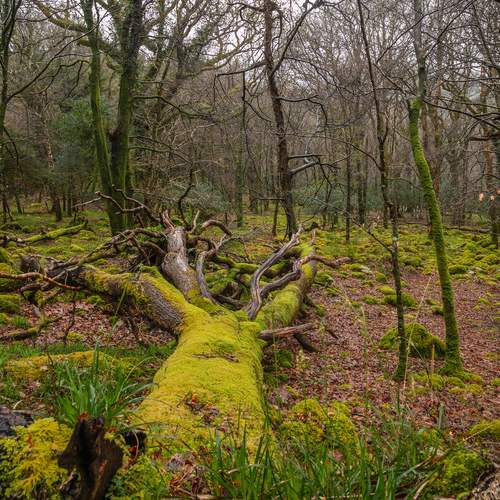 Photo #11817078