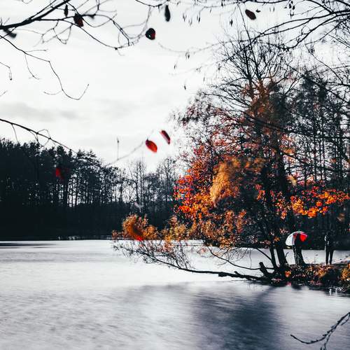 Фотография #11817106