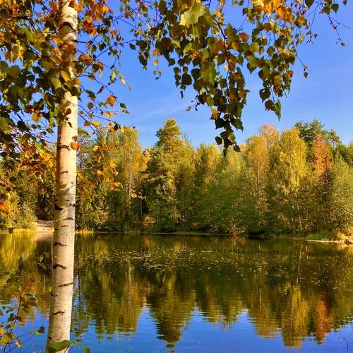 Теплая солнечная осень.
