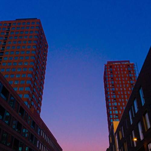Photo #11817305