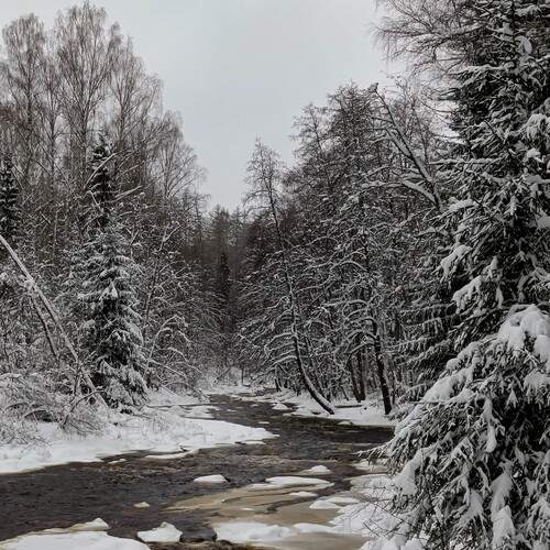 Photo #11817347