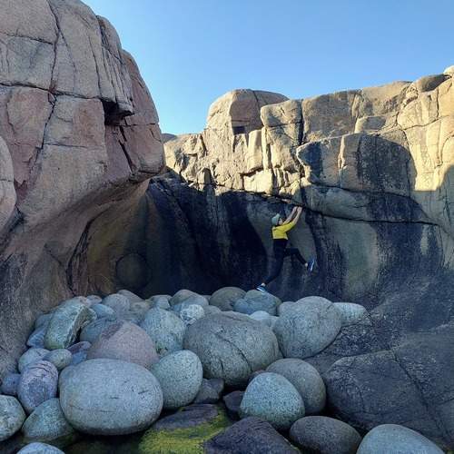 Photo #11817390