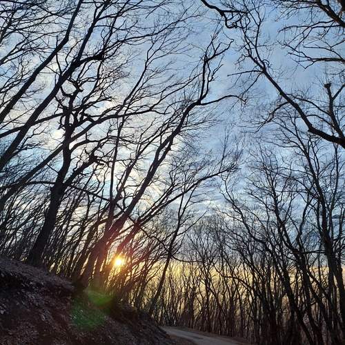 Photo #11817391