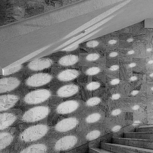 Photo #11817406
